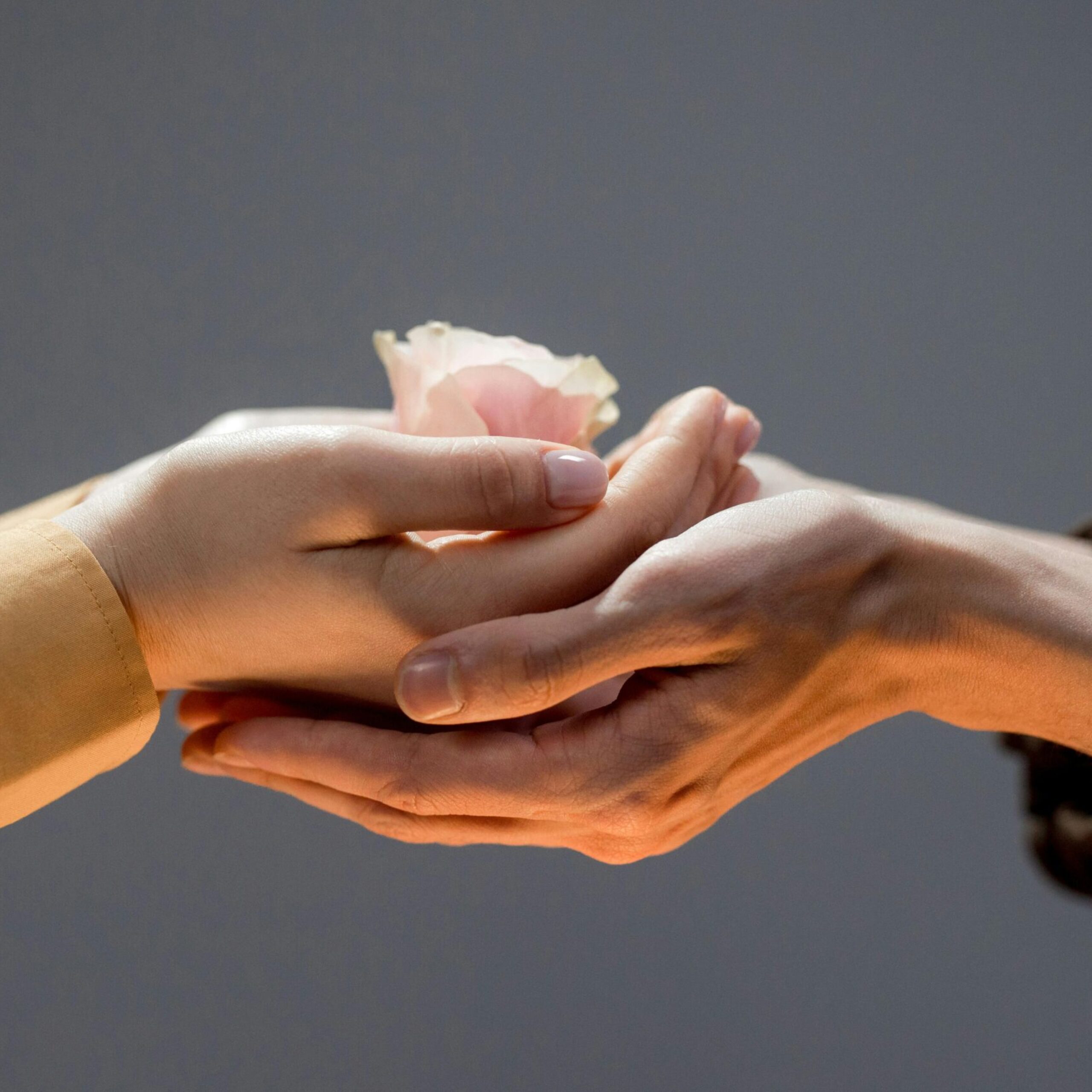 Jūsų parama gali išgydyti